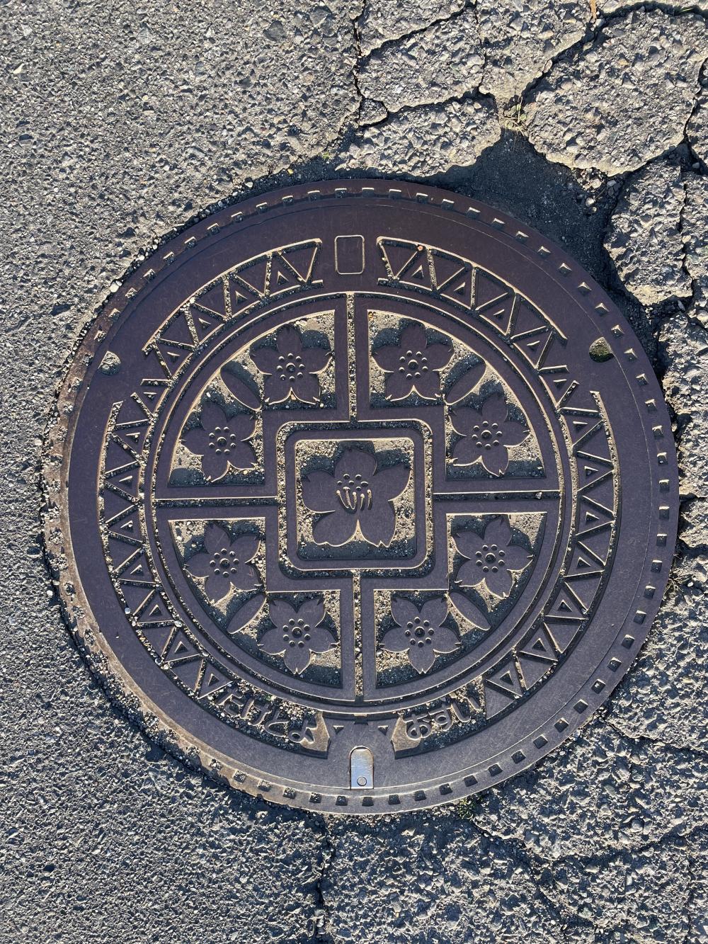 Image15