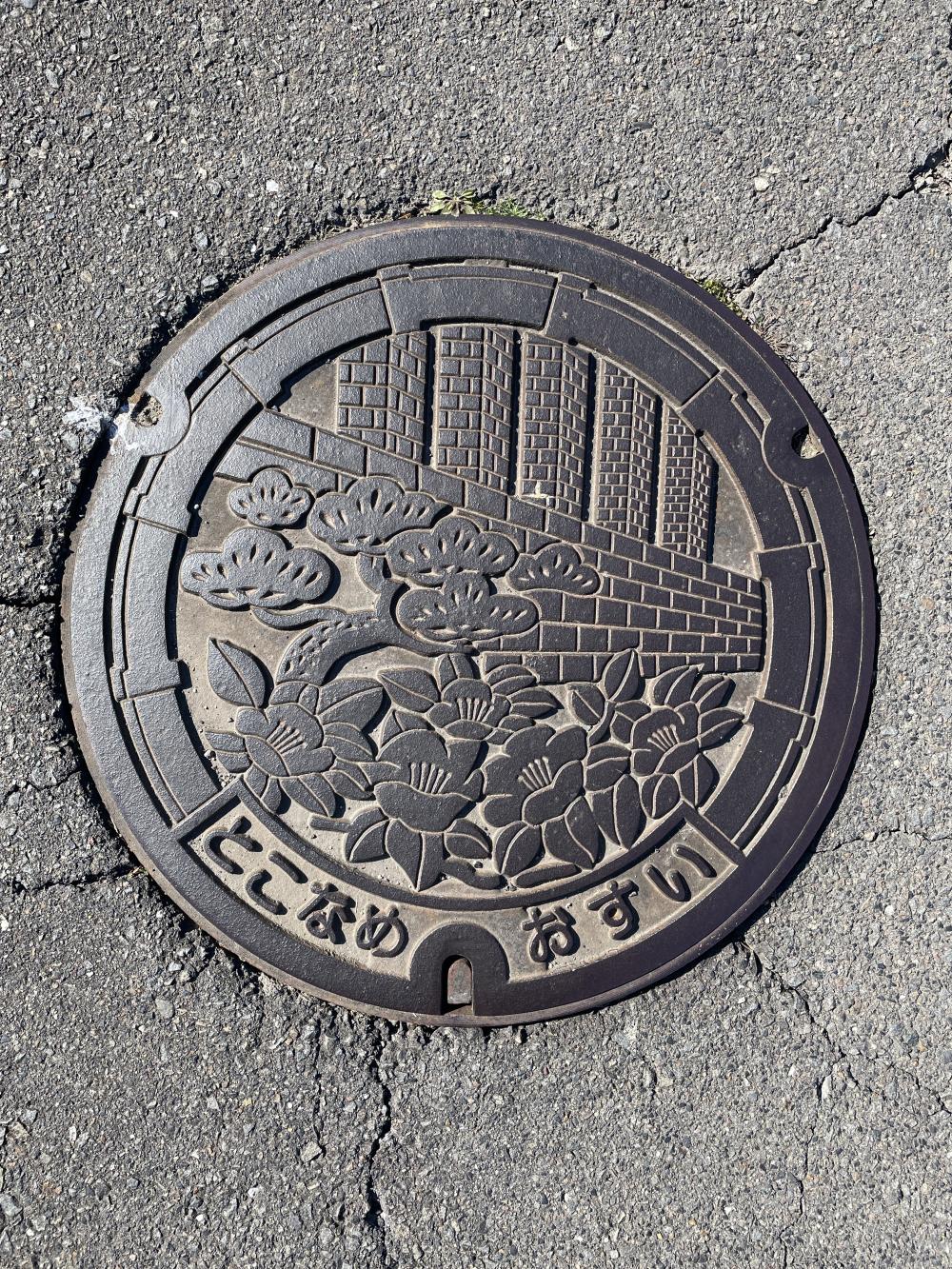 Image1