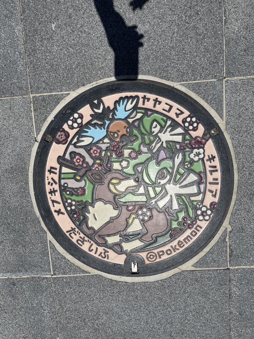 Image6